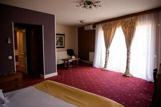 Отель Hotel Castel Рымнику-Вылча Двухместный номер с 1 кроватью-1