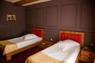 Отель Hotel Castel Рымнику-Вылча Двухместный номер с 2 отдельными кроватями-2