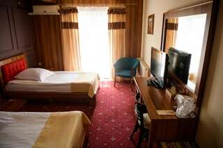 Отель Hotel Castel Рымнику-Вылча Двухместный номер с 2 отдельными кроватями-3