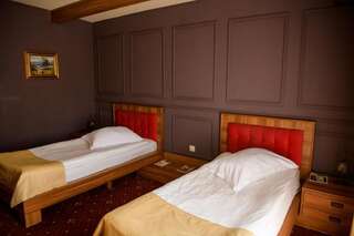 Отель Hotel Castel Рымнику-Вылча Двухместный номер с 2 отдельными кроватями-4