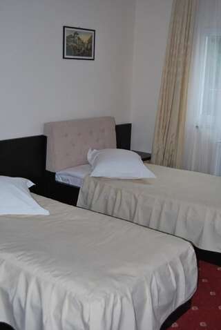 Отель Hotel Castel Рымнику-Вылча Двухместный номер с 2 отдельными кроватями-10